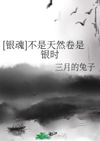 [银魂]不是天然卷是银时
