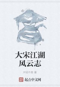 大宋江湖风云志