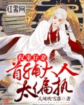 权宠狂妻：首辅大人太偏执