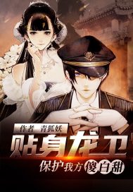贴身龙卫：保护我方傻..